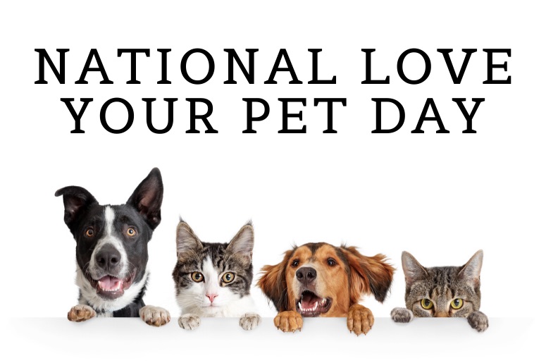 It's National Love Your Pet Day How are you celebrating? The