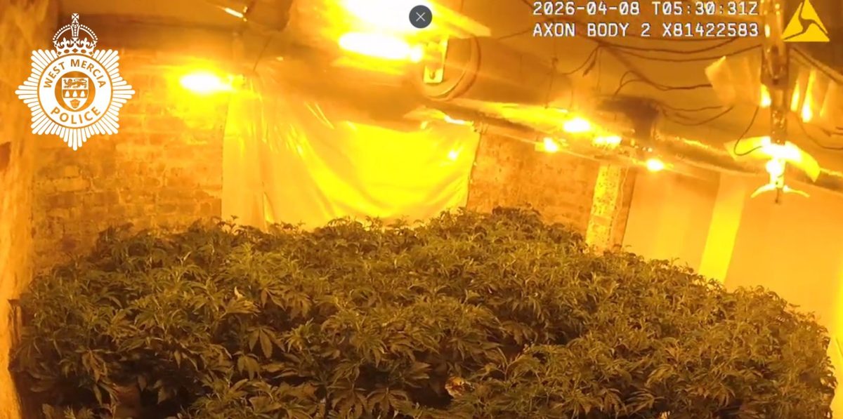 Man sentenced over £200k Worcester cannabis grow